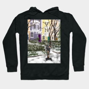 Winter on Capitol Hill Hoodie